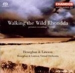 Walking The Wild Rhondda