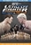 Ultimate Fighter 14