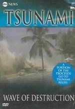 Tsunami:wave of Destruction