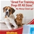 PaWz 400 Pcs 60x60 cm Pet Puppy Toilet Training Pads Absorbent