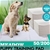 PaWz 400 Pcs 60x60cm Ultra Absorbent Pet Dog Cat Toilet Training Pads