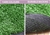 80SQM Artificial Grass Lawn Outdoor Synthetic Turf Plastic Plant Lawn
