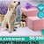 PaWz 200 Pcs 60x60 cm Pet Puppy Toilet Training Pads Absorbent Lavender
