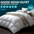 DreamZ 700GSM All Season Goose Down Feather Filling Duvet in Super King