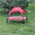 Charlies Elevated Pet Bed With Tent Red Small