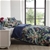Dreamaker 300TC Cotton Sateen Printed Quilt Cover Set Super King Bed