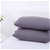 Dreamaker 250TC Plain Dyed Standard Pillowcases - Twin Pack -vapour