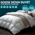 DreamZ 500GSM All Season Goose Down Feather Filling Duvet in King Single