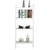 4 Tier Ladder Shelf Unit Bookshelf Bookcase Book Storage Display Rack Stand