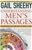 Understanding Men's Passages: Discovering the New Map of Men's Lives
