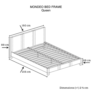 Queen Size Leatheratte Bed Frame in Blac