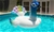 Inflatable Peacock Ride-On-Float Summer Pool Floats Swim Beach Fun Toy