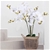 Artificial Orchid Plant w/ White Pot 75cm Flower Fake Foliage Floral Décor