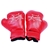 2x Boxing Gloves