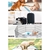 200pcs Puppy Dog Pet Training Pads Cat Toilet 60 x 60cm Super Absorbent