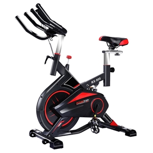 Powertrain RX-900 Exercise Spin Bike Car