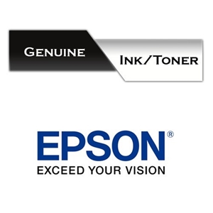 Genuine Epson BLACK INK TWIN PACK C13T04