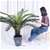 SOGA 155cm Artificial Indoor Cycas Revoluta Cycad Sago Palm Fake Pot Plant