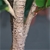 SOGA 2X 155cm Artificial Qin Yerong Tree Fake Plant Simulation Décor