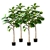 SOGA 4X 155cm Artificial Qin Yerong Tree Fake Plant Simulation Decor