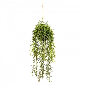 60cm Moss Ball w Senecio Hanging Artific
