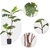 SOGA 2X 90cm 2-Trunk Artificial Split-Leaf Philodendron Plant Home Office