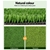 Primeturf Synthetic 17mm 0.95mx20m 19sqm Artificial Grass Olive