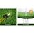Primeturf Synthetic 17mm 1.9mx5m 9.5sqm Artificial Grass Olive