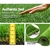 Primeturf Synthetic Grass Artificial Fake Lawn 2x5m Turf Plastic Plant 40mm