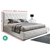 Artiss Bed Frame King Size Gas Lift Base With Storage Leather Tiyo Coll.