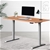 Artiss Standing Desk Adjustable Height Motorised Grey Frame Oak 120cm