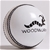 Woodworm Cricket Ball - Supreme County 156g - White