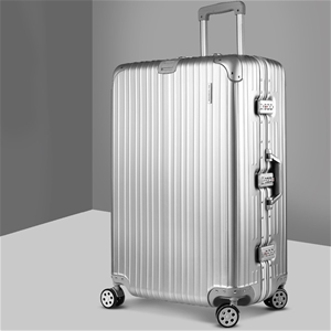 Wanderlite 28'' Luggage Travel Suitcase 
