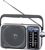 PANASONIC Portable AM/FM Radio, Silver. Model RF-2400 DGN-S. Buyers Note -