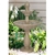 Aestivo Outdoors Birdbath Water Fountain - 100cm