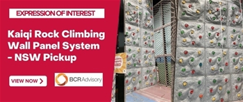 Kaiqi Rock Climbing Wall Panel System &#43; Rope Climbing Structure with Flooring Mattresses &#38; More