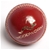 6 Pack - Woodworm Cricket Ball - Junior League