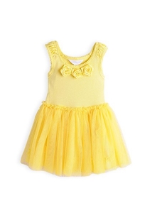 Pumpkin Patch Baby Girl's Dress With Tul
