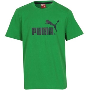 Puma Junior Boys Logo T-Shirt