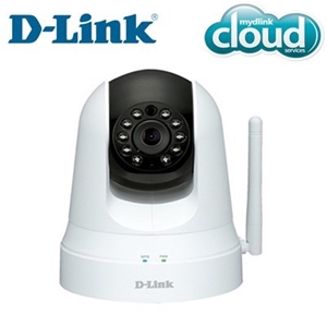 D-Link Wireless N Day & Night Cloud Came