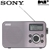 Sony DAB/DAB+/FM Digital Radio - Silver/Black