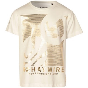 Haywire Junior Boys Goldness T-Shirt