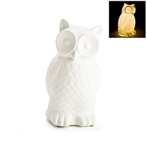 DÃ©cor Ceramic Owl Lamp