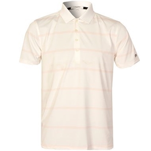 Calvin Klein Mens Striped Tech Polo Shir