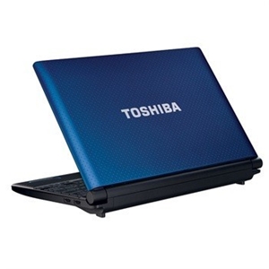 Toshiba NB Series NB550D/00J 10.1/AMD Fu