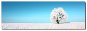 Lonely Snow Tree, 138x46cm Canvas Print