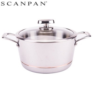24cm/5.2L Scanpan Axis Stainless Steel D