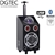 DGTEC Portable Party System w Bluetooth and Mic